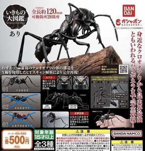 Amazon.co.jp: いきもの大図鑑 あり (単品) パラポネラ : おもちゃ